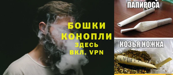 молекула духа Зеленокумск