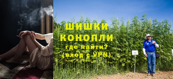 молекула духа Зеленокумск